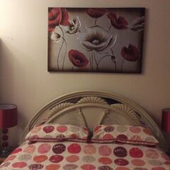 Отель Springtown Lodge в номере