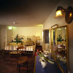 Iron Gate Hotel and Suites развлечения