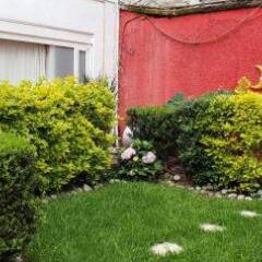 Отель Anys Hostal Мехико фото 5