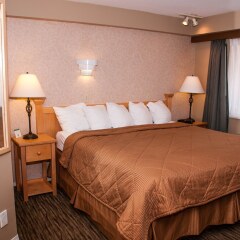 Отель Comfort Inn & Suites North Vancouver Канада, Аптаун - отзывы, цены и фото номеров - забронировать отель Comfort Inn & Suites North Vancouver онлайн комната для гостей фото 3
