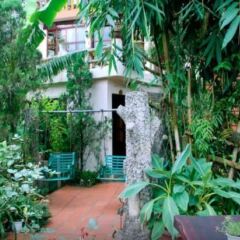 Отель Cat Cat Hotel Вьетнам, Шапа - отзывы, цены и фото номеров - забронировать отель Cat Cat Hotel онлайн фото 3