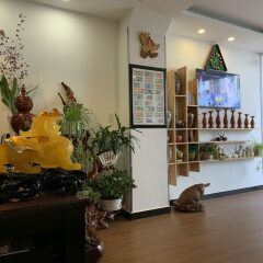 Moon Light Hostel Далат интерьер отеля