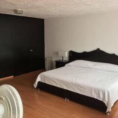 Отель Grupo Kings Suites Alcazar De Toledo Мехико комната для гостей фото 2