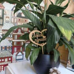 Hostel Taganski Mayak Москва фото 5