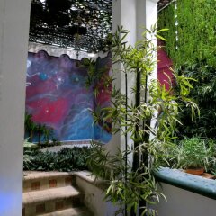 Отель Casa Miraflores Колумбия, Кали - отзывы, цены и фото номеров - забронировать отель Casa Miraflores онлайн фото 4