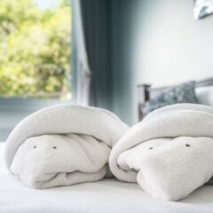 Beehive Phuket Old Town - Hostel фитнесс-зал