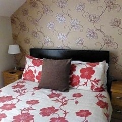 Отель Bryn Derwen Guest House комната для гостей