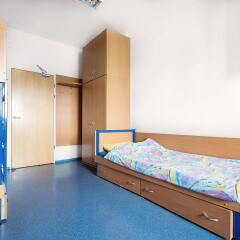 Dizzy Daisy Hostel Riviera детские мероприятия