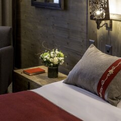 Отель Edelweiss Manotel Hotel Швейцария, Женева - 2 отзыва об отеле, цены и фото номеров - забронировать отель Edelweiss Manotel Hotel онлайн фото 11