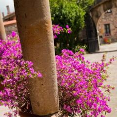 Отель Casa Velarde фото 6