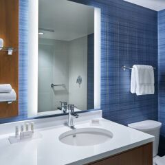 Отель Residence Inn by Marriott Washington Downtown/Convention Center США, Вашингтон - отзывы, цены и фото номеров - забронировать отель Residence Inn by Marriott Washington Downtown/Convention Center онлайн ванная