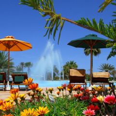Отель Djerba Plaza Hotel Тунис, Мидун - отзывы, цены и фото номеров - забронировать отель Djerba Plaza Hotel онлайн фото 10