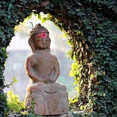 Отель Vajra Непал, Катманду - отзывы, цены и фото номеров - забронировать отель Vajra онлайн приотельная территория