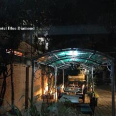 Отель Blue Diamond Непал, Катманду - отзывы, цены и фото номеров - забронировать отель Blue Diamond онлайн фото 11