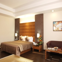 Отель Mapple Emerald New Delhi Индия, Нью-Дели - отзывы, цены и фото номеров - забронировать отель Mapple Emerald New Delhi онлайн комната для гостей