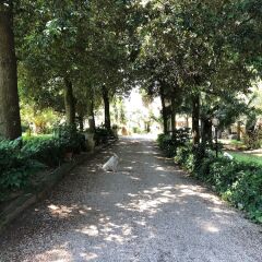 Отель Villa Berghella фото 11