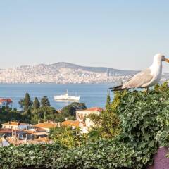 L'isola Guesthouse Турция, Хейбелиада - отзывы, цены и фото номеров - забронировать отель L'isola Guesthouse - Adults Only онлайн пляж