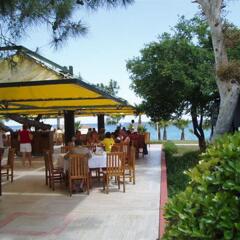 Отель Majesty Club Kemer Beach питание фото 3