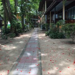 Отель Koh Tao Tropicana Resort Таиланд, Остров Тау - отзывы, цены и фото номеров - забронировать отель Koh Tao Tropicana Resort онлайн фото 17