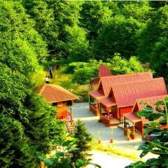 Отель Ayder Selale Dag Evi бассейн фото 2