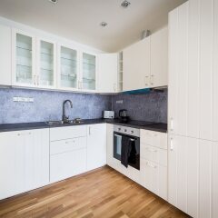 Апартаменты Boris' apartments City centre parks Прага в номере