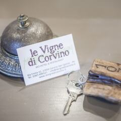 Hotel Le Vigne di Corvino Сан-Мартино-Сиккомарио ванная