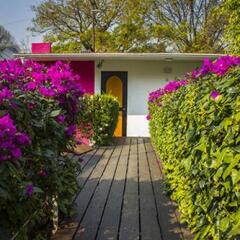 Отель Hostal Cuija Coyoacan Мексика, Мехико - отзывы, цены и фото номеров - забронировать отель Hostal Cuija Coyoacan онлайн фото 7