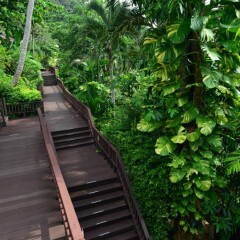 Отель Andaman White Beach Resort Таиланд, пляж Банг-Тао - 3 отзыва об отеле, цены и фото номеров - забронировать отель Andaman White Beach Resort онлайн приотельная территория