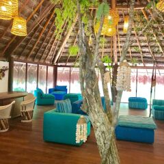 Ecovergel Riviera Maya Hotel Boutique