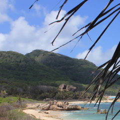 Liane De Mai in La Digue, Seychelles from 298$, photos, reviews - zenhotels.com beach