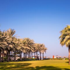 Отель Coral Beach Resort - Sharjah ОАЭ, Шарджа - 8 отзывов об отеле, цены и фото номеров - забронировать отель Coral Beach Resort - Sharjah онлайн спортивное сооружение