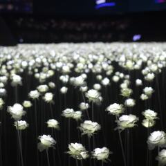 Отель 24 Guesthouse Dongdaemun