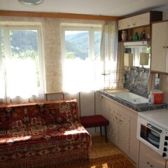 Отель Holiday Home Lyubovo Болгария, Боженци - отзывы, цены и фото номеров - забронировать отель Holiday Home Lyubovo онлайн в номере фото 2