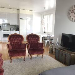 Апартаменты Sauna Apartment In The Heart Of The City Ювяскюля комната для гостей фото 4