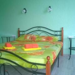 Гостиница Alpic Guest House фото 20