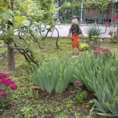 Гостиница Guest House Darina фото 2