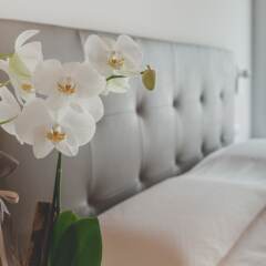 Отель Terra Ferma Rooms & More Италия, Сальцано - отзывы, цены и фото номеров - забронировать отель Terra Ferma Rooms & More онлайн ванная