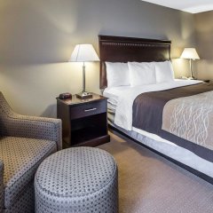 Comfort Inn & Suites near Tinley Park Amphitheater in Tinley Park, United States of America from 146$, photos, reviews - zenhotels.com guestroom photo 2