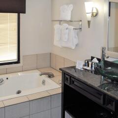 Отель Comfort Inn Downtown Charleston спа