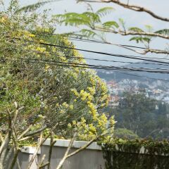 Отель Sol House Dalat Homestay Далат фото 17