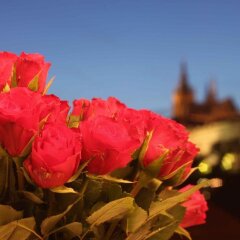 Отель Trinidad Prague Castle Чехия, Прага - отзывы, цены и фото номеров - забронировать отель Trinidad Prague Castle онлайн приотельная территория фото 2