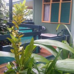 Отель Colo-I-Suva Rainforest Eco Resort Вити-Леву фото 2