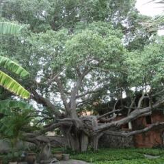 Отель Hacienda de Los Santos фото 12
