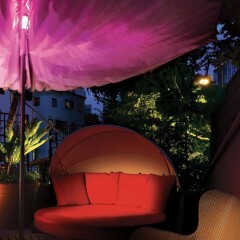Отель The Scarlet Singapore с домашними животными