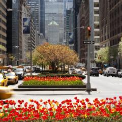 Отель Loews Regency New York Hotel США, Нью-Йорк - отзывы, цены и фото номеров - забронировать отель Loews Regency New York Hotel онлайн помещение для мероприятий фото 2