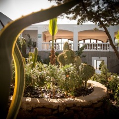 Отель Hostal Rural La Torre Испания, Сан-Антони-де-Портмань - отзывы, цены и фото номеров - забронировать отель Hostal Rural La Torre онлайн фото 5