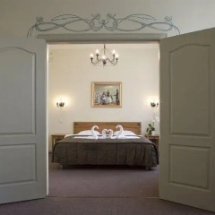 Art Hotel Laine удобства в номере