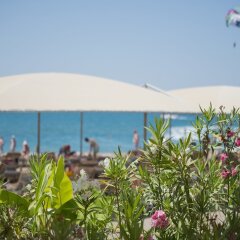 Отель Tui Day&Night Connected Club Life Belek Богазкент пляж фото 2