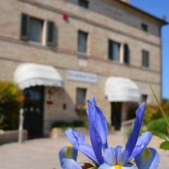 Hotel Villa Tetlameya Лорето фото 7