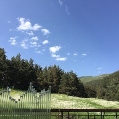 Отель LerMont Guest House Дзорагет приотельная территория